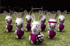 RABBIDS CAN PLAY RUGBY
